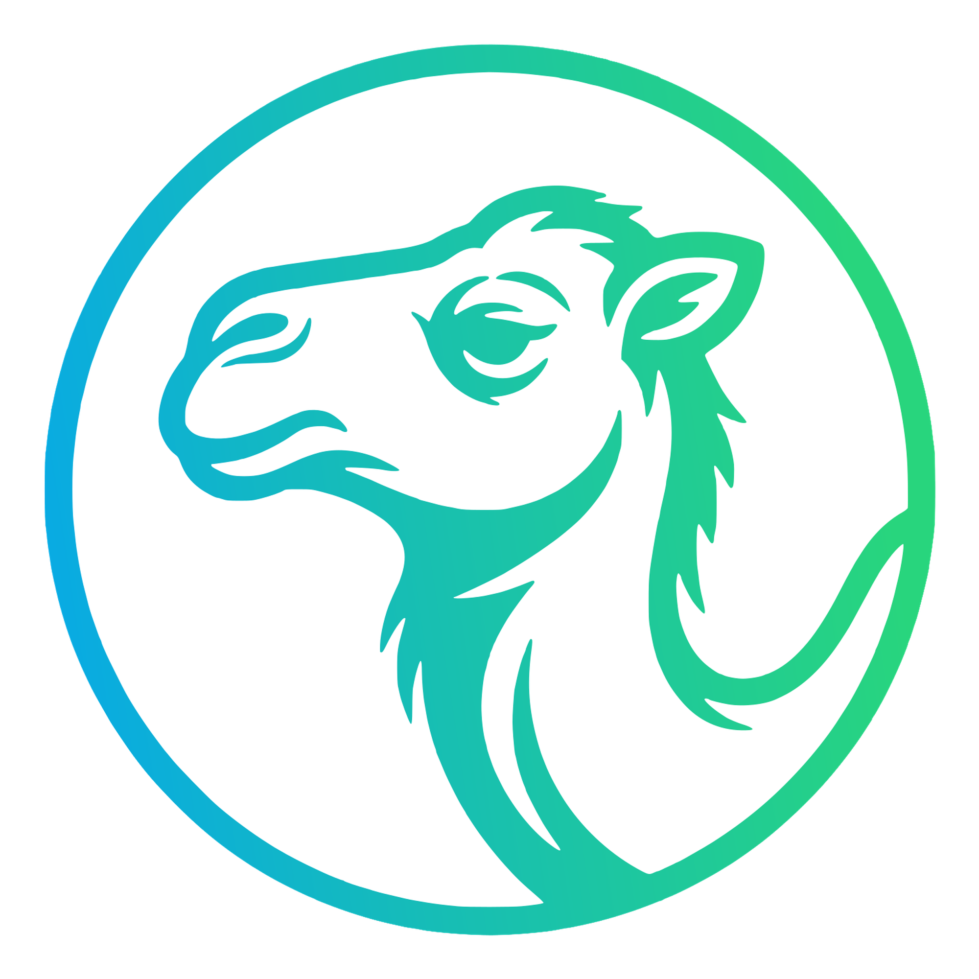 Camels